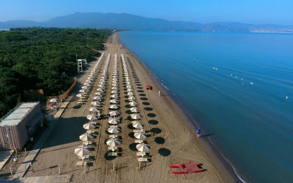 mare