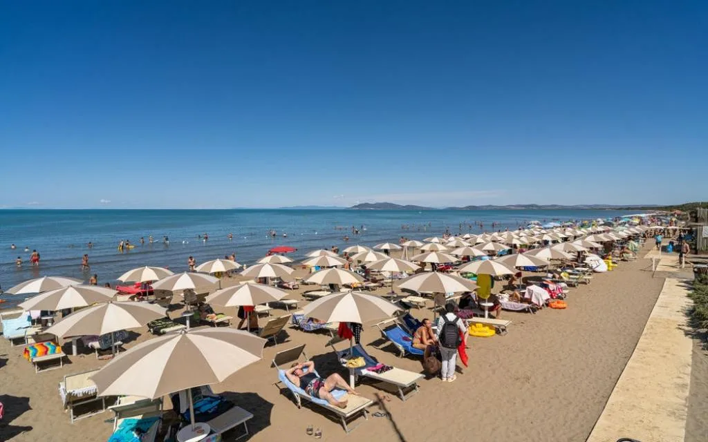 mare