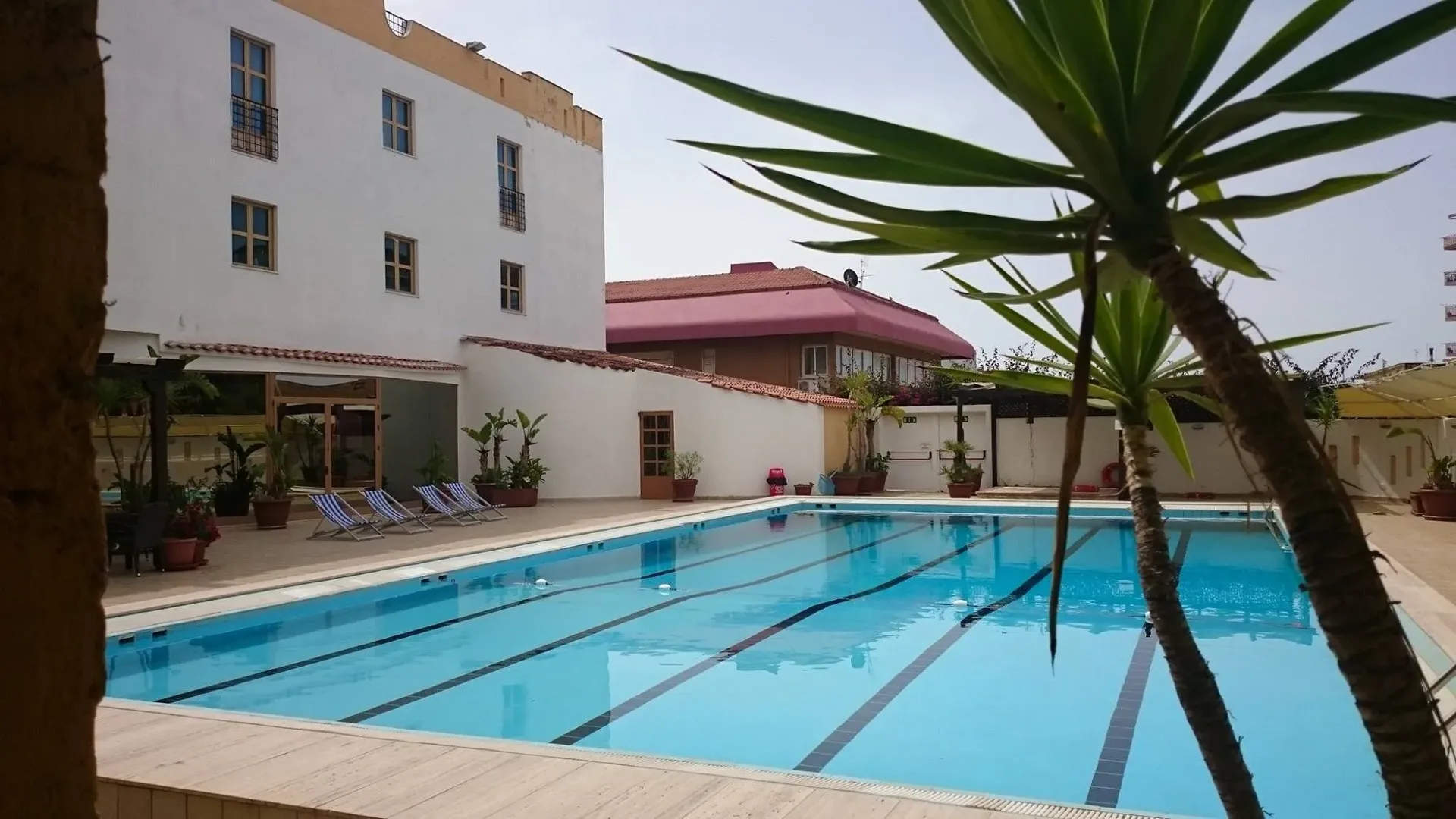 Piscina esterna con lettini, palme e edificio bianco dell'hotel