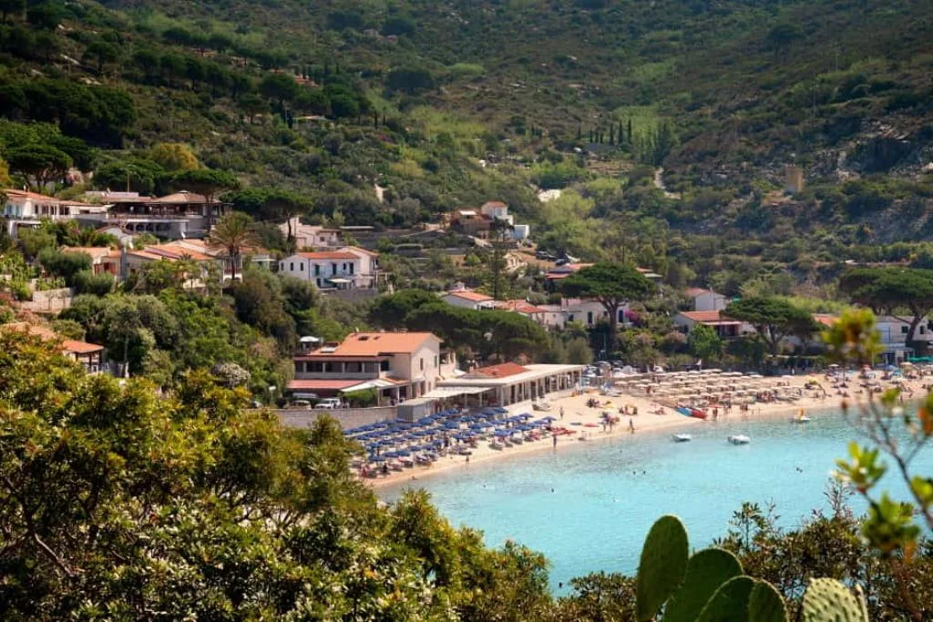 mare
