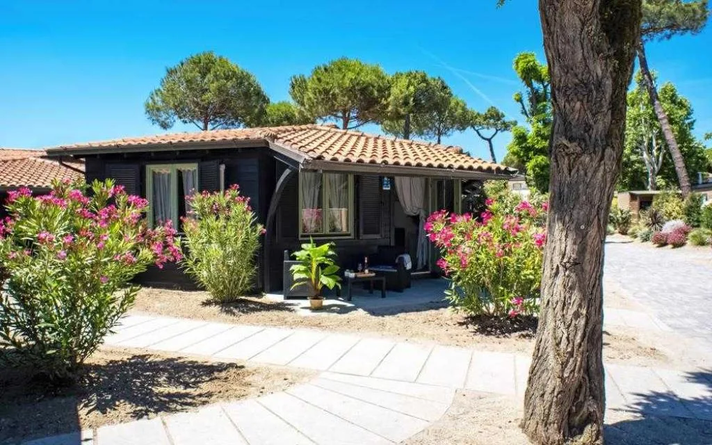 Esterno Chalet Comfort