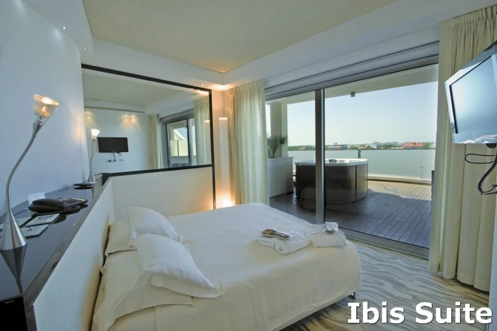 Suite Ibis