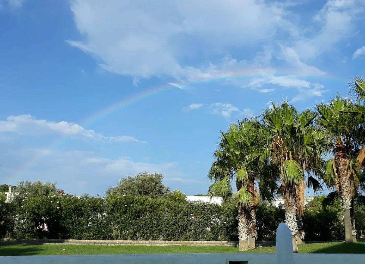 Arcobaleno nel cielo azzurro sopra il giardino con palme e siepi fiorite