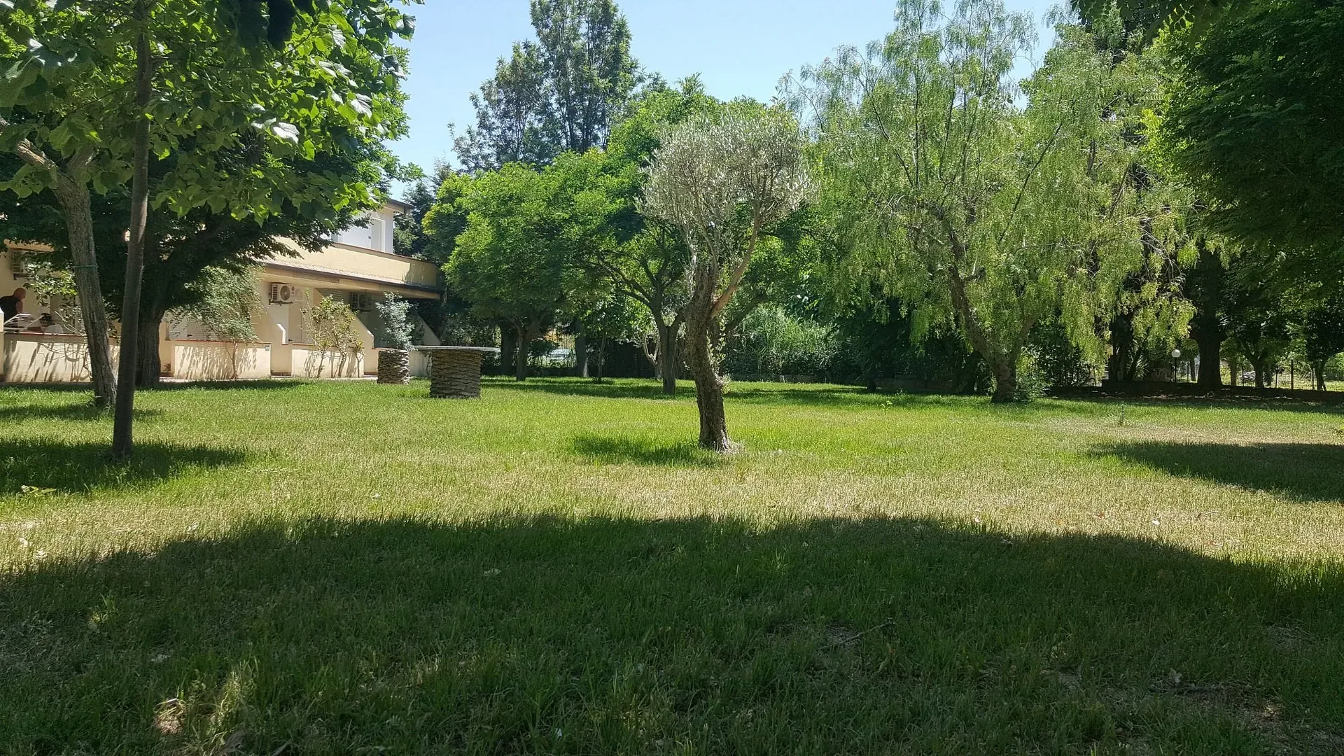 Ampio giardino alberato con prato verde e edificio giallo sullo sfondo