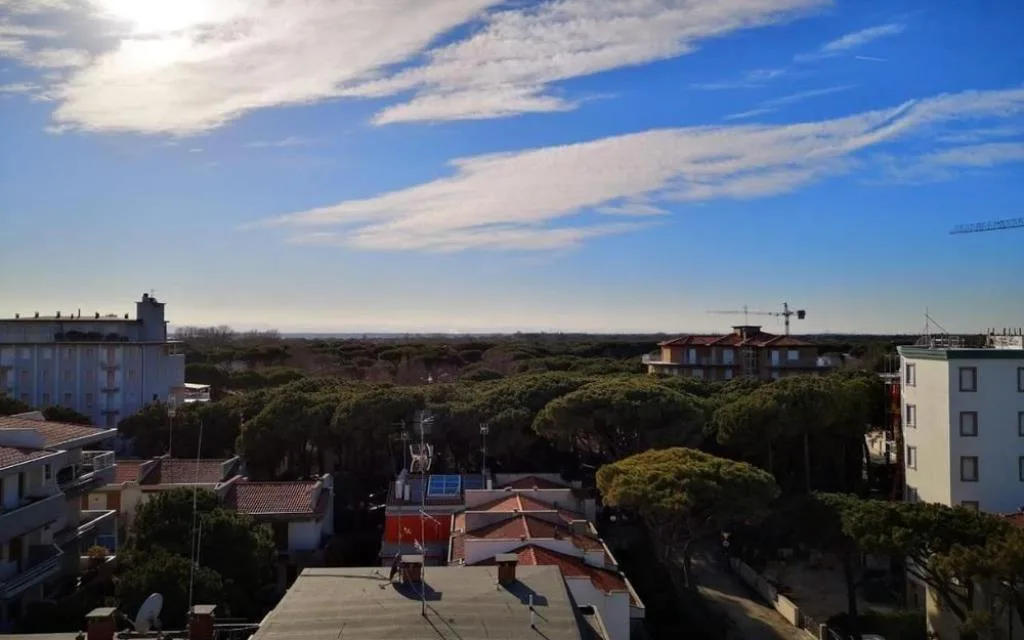 Vista panoramica sui tetti, pineta e cielo azzurro