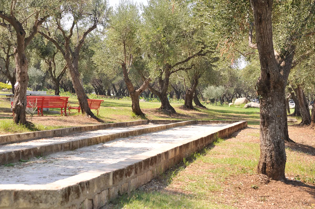 Campo da bocce in pietra con panchine rosse tra gli ulivi del parco