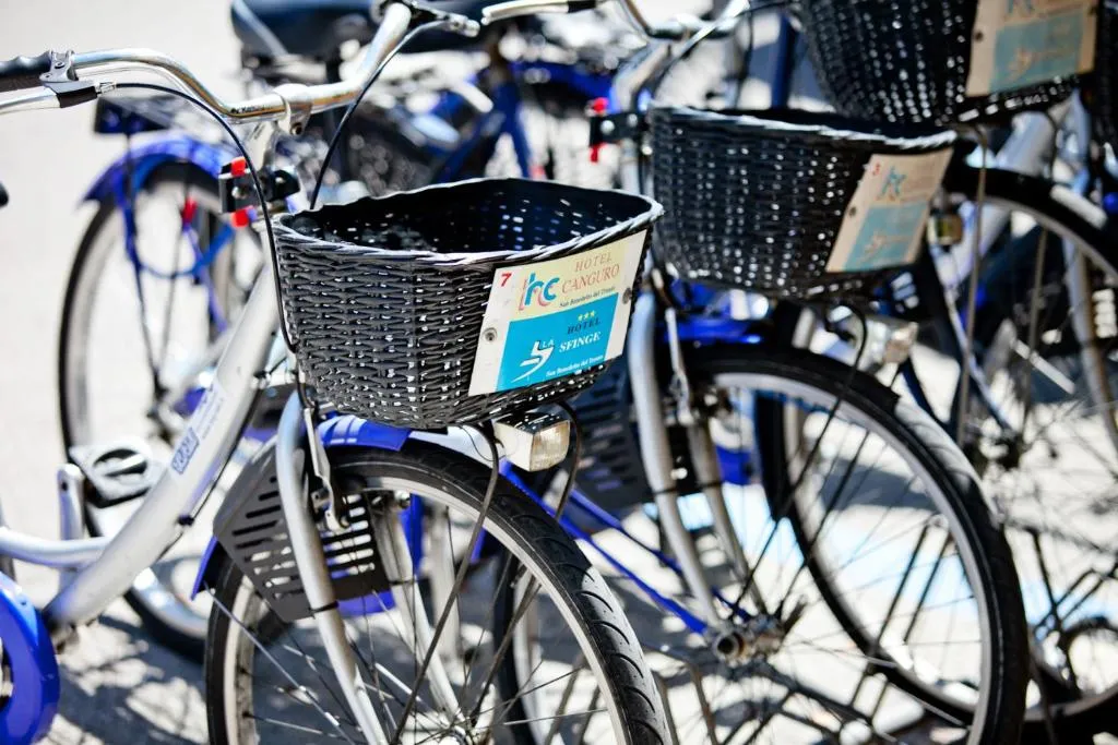 Biciclette dell'hotel con cestini parcheggiate a disposizione degli ospiti
