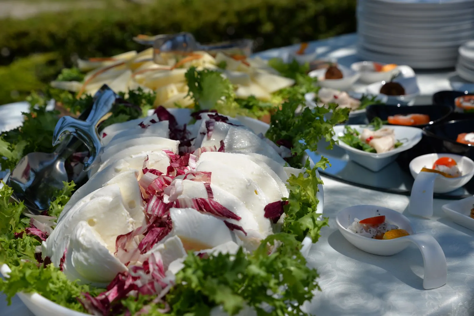 Buffet di antipasti con mozzarella, insalate e piatti freddi all'aperto