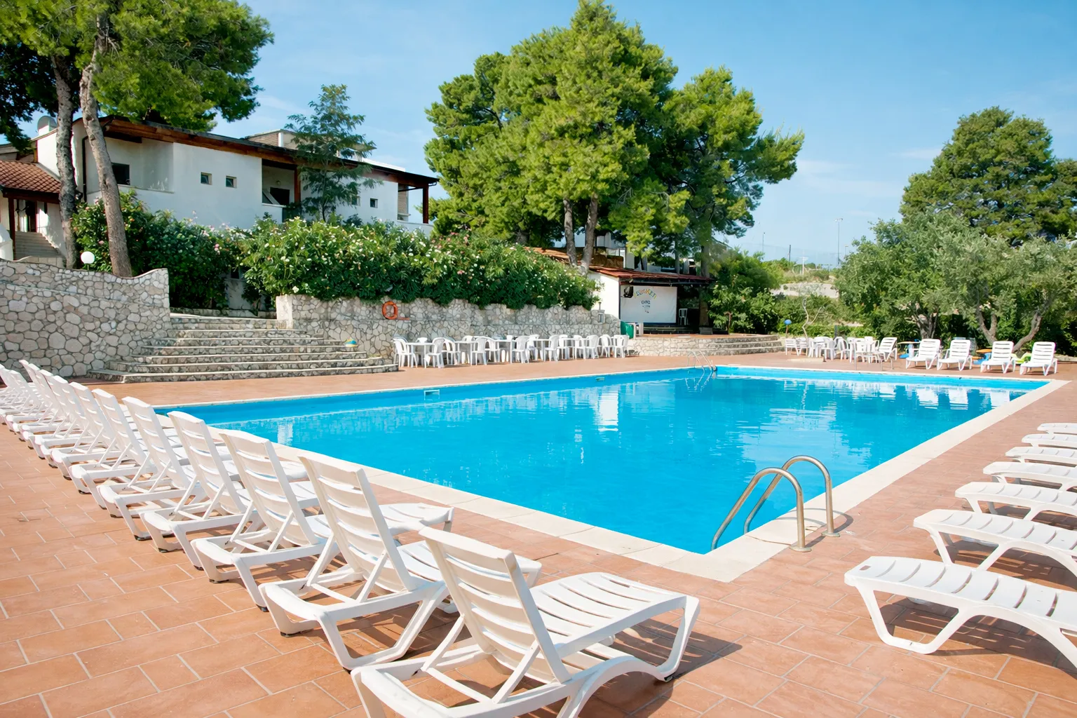 Piscina con lettini bianchi circondata da pini e muretto in pietra