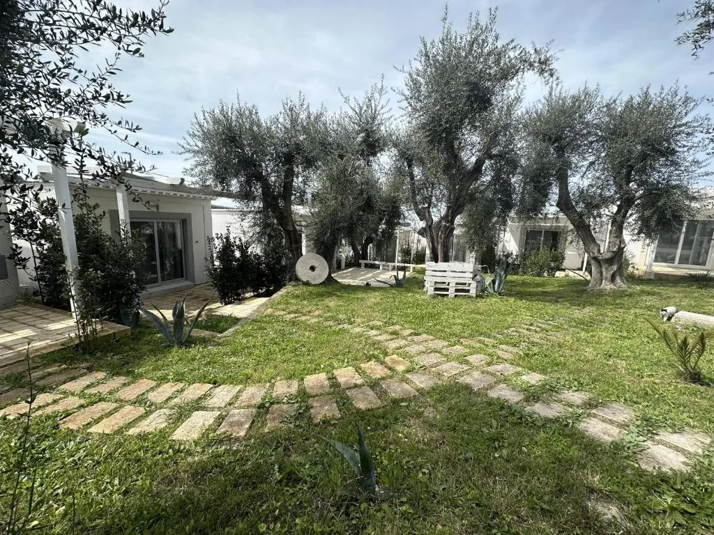 Giardino con ulivi secolari, vialetto in pietra e casette bianche