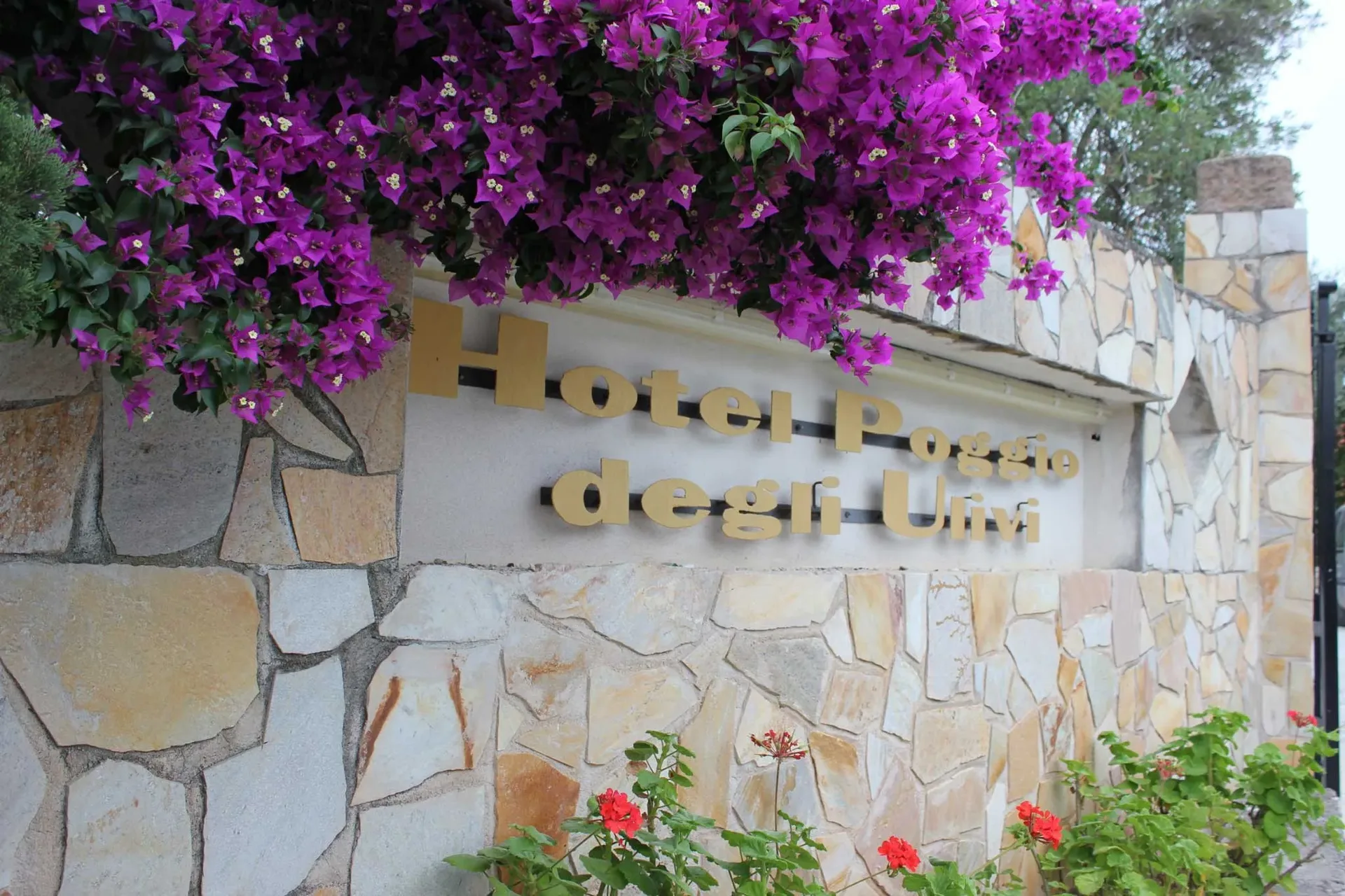 Insegna in pietra Hotel Poggio degli Ulivi con bouganville viola