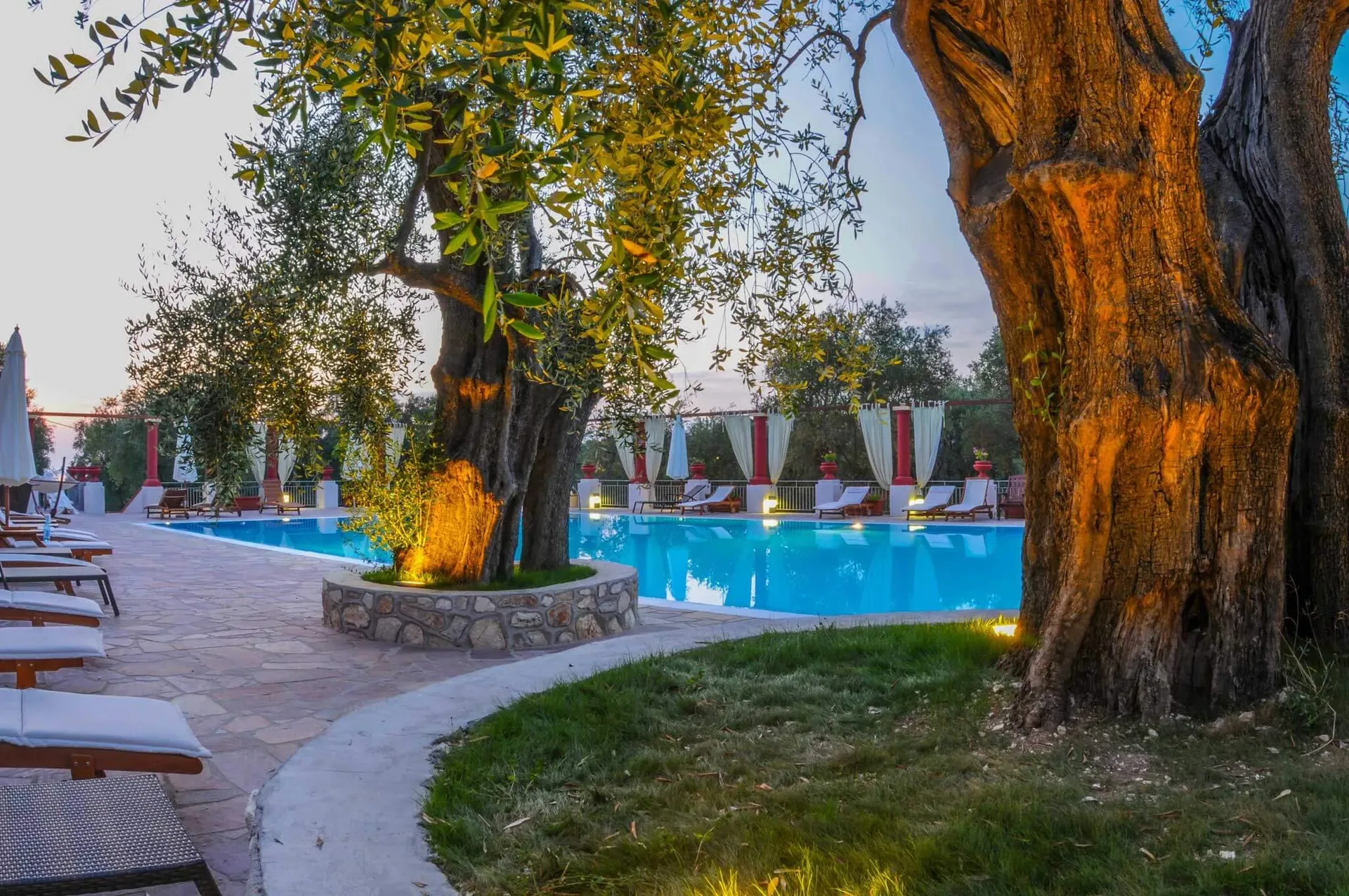 Piscina illuminata al crepuscolo con ulivi secolari e prato verde
