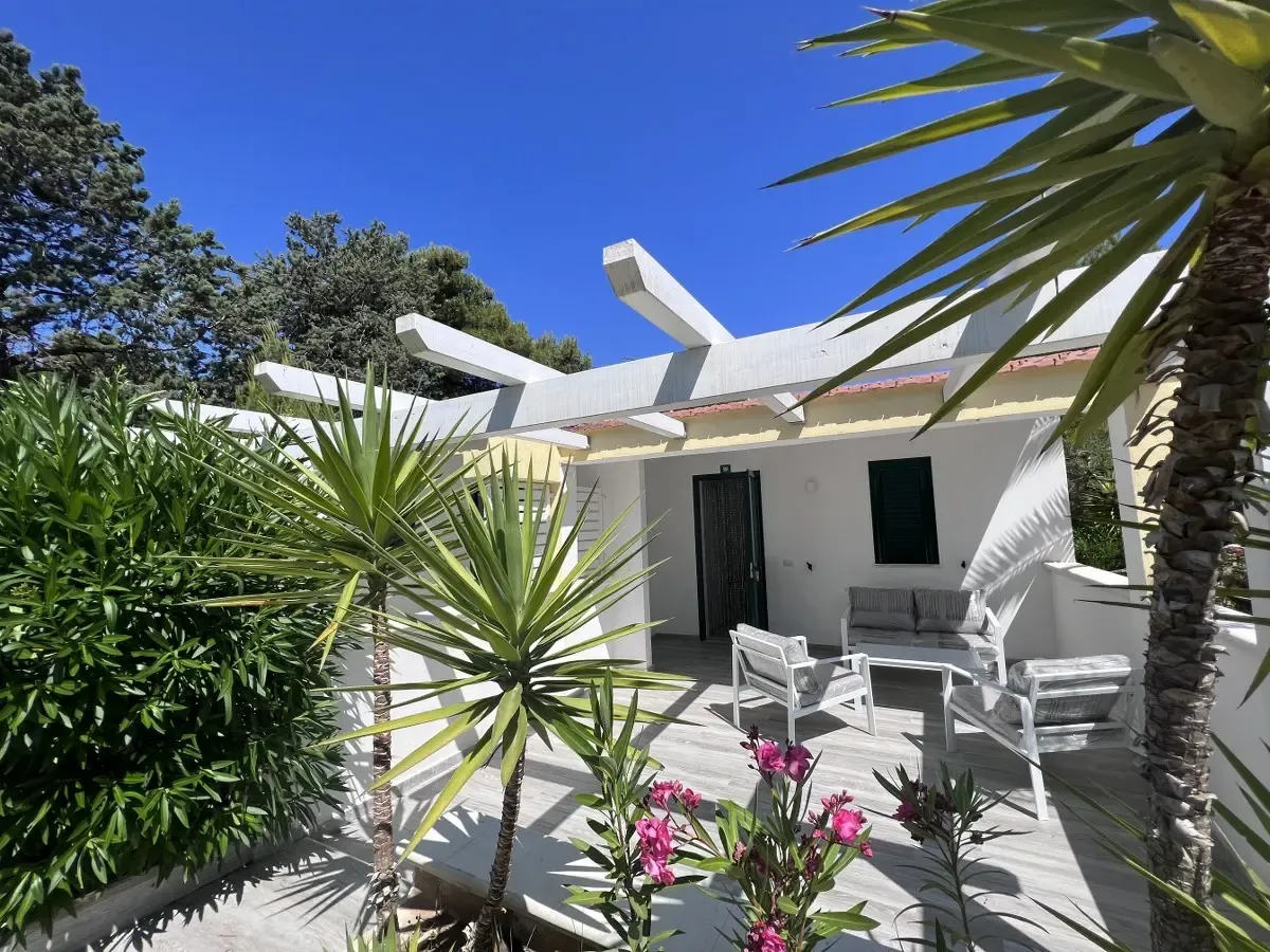 Esterno di alloggio bianco con pergolato, divanetti e giardino con palme e oleandri fioriti
