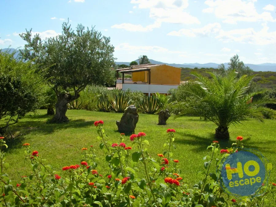 Giardino verde con ulivi, palme e fiori colorati con vista sulle colline