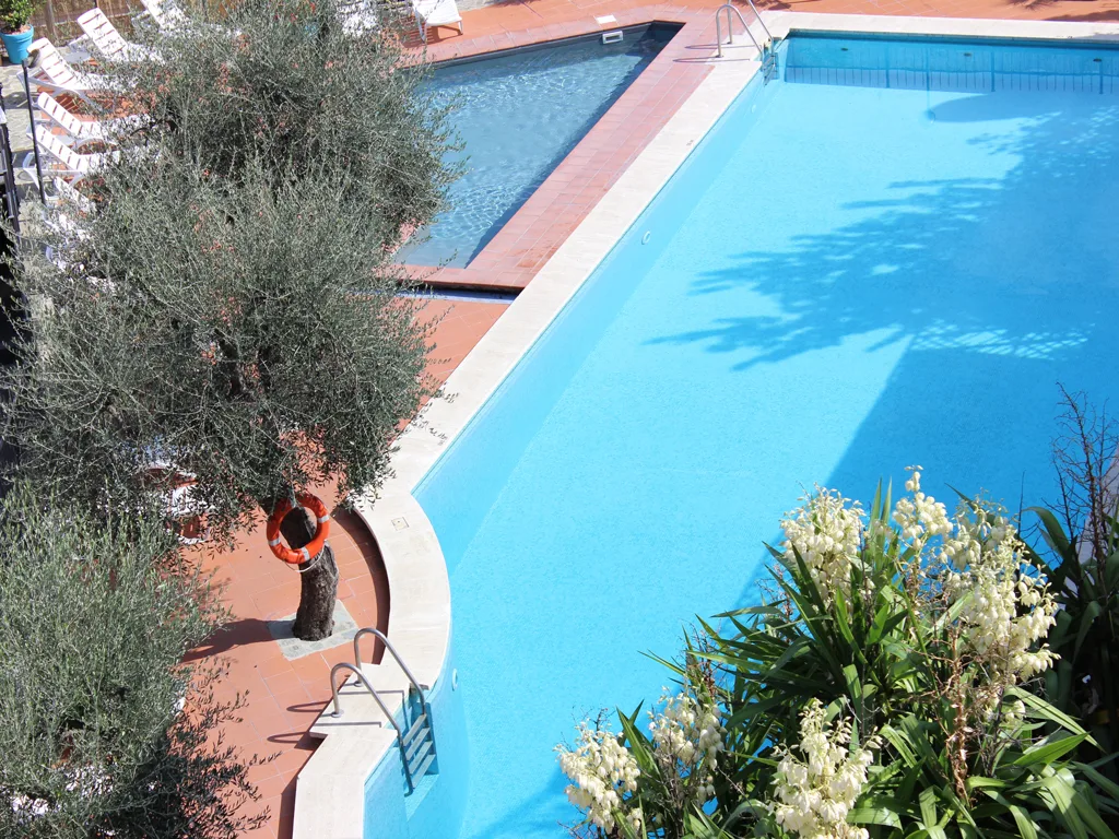 Veduta dall'alto della piscina con bordo in cotto, ulivo e piante fiorite
