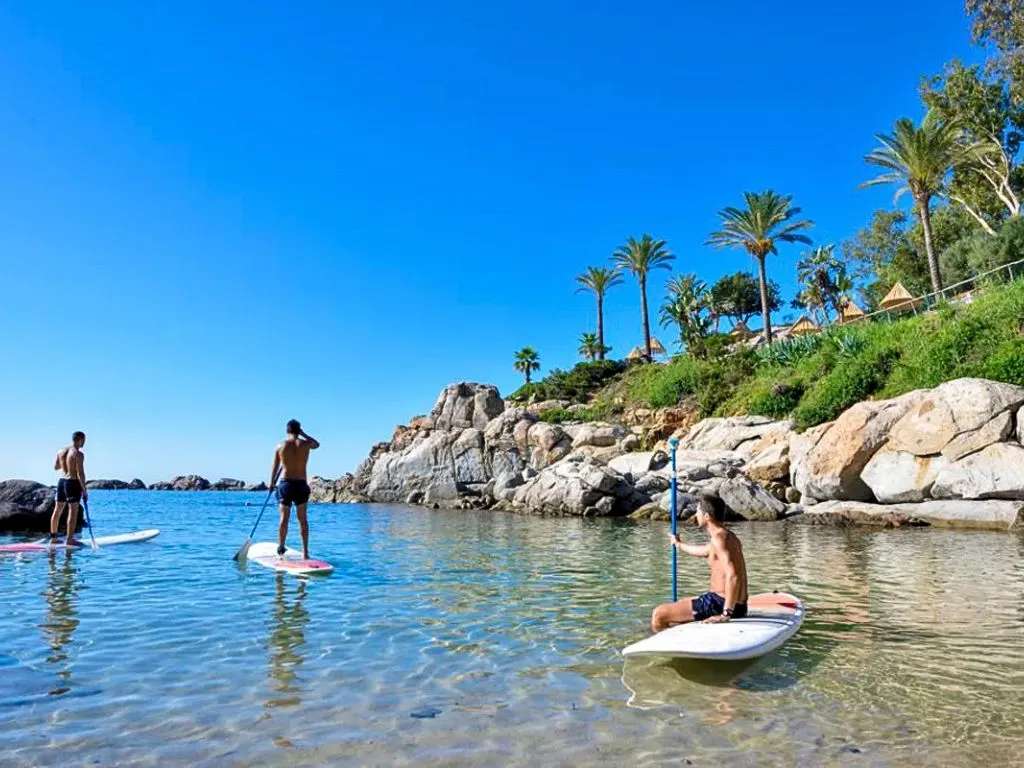 Gruppo di persone su stand up paddle in una cala con scogli e palme