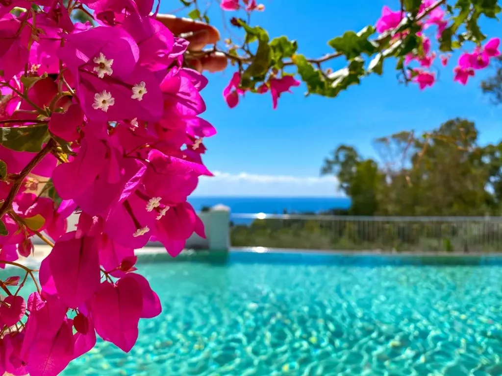 Bouganville rosa in primo piano con piscina turchese e vista mare sullo sfondo