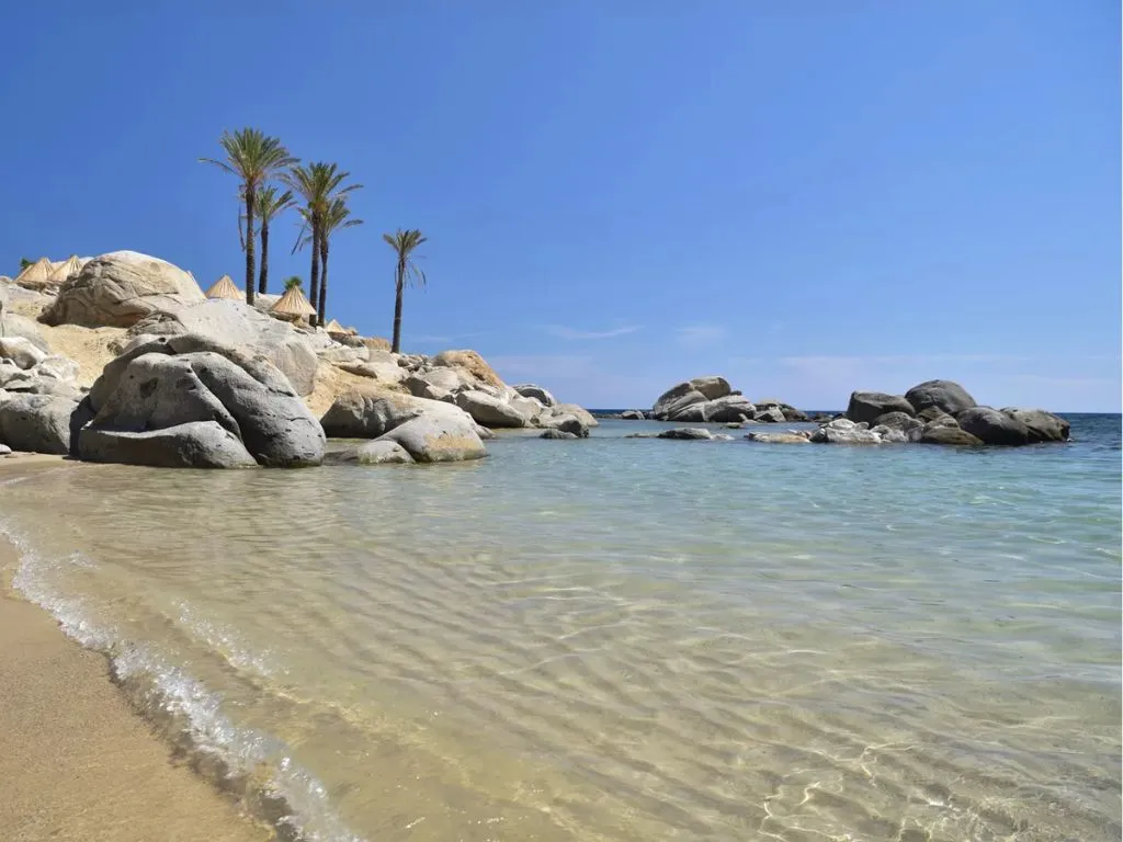 Spiaggia di sabbia con scogli, palme e acque trasparenti sotto il cielo azzurro