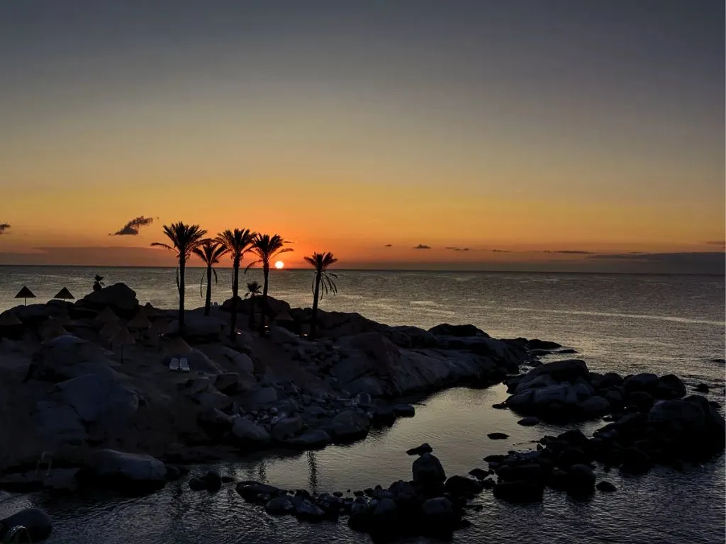 Tramonto sul mare con palme in silhouette e scogli affacciati sull'acqua
