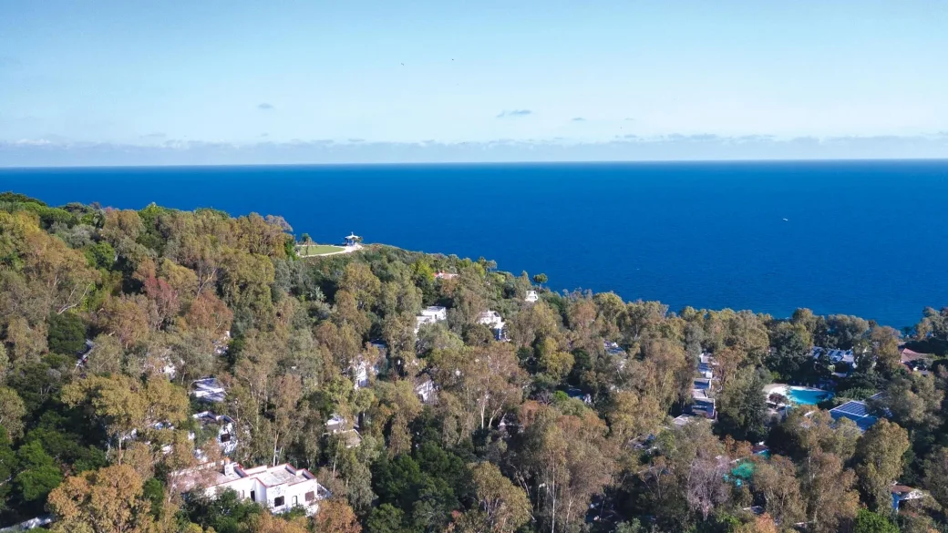 Panorama aereo della collina boscosa che si affaccia sul mare blu