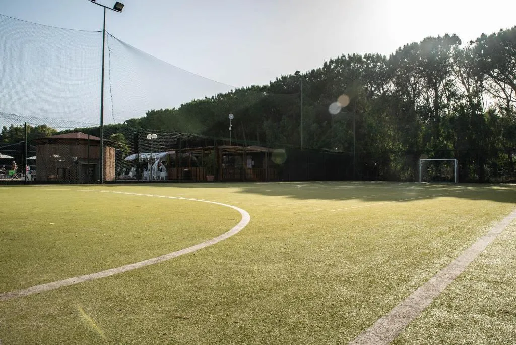Campo da calcetto in erba sintetica circondato da alberi