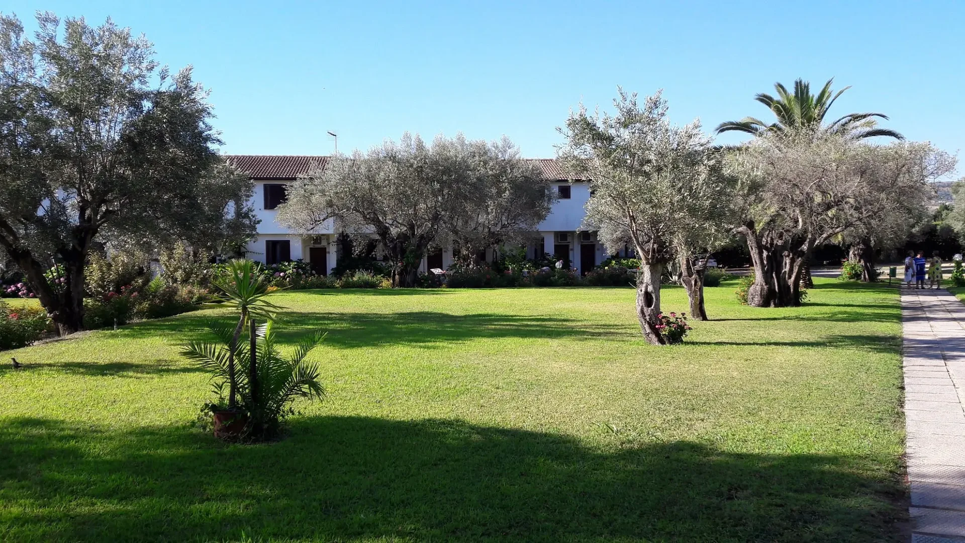 Prato verde del villaggio con ulivi e palme davanti agli alloggi bianchi