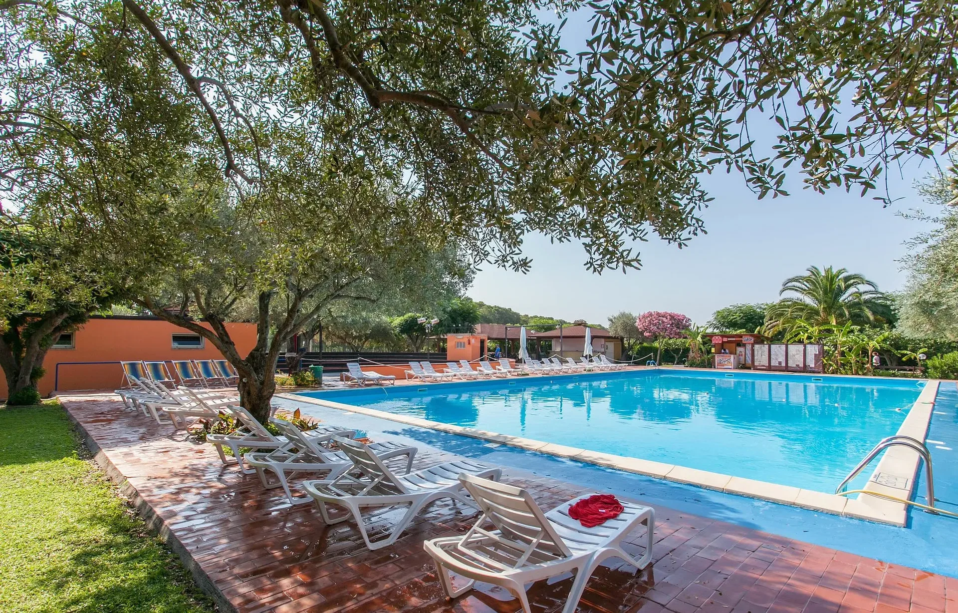 Piscina con lettini bianchi all'ombra degli ulivi e vegetazione rigogliosa