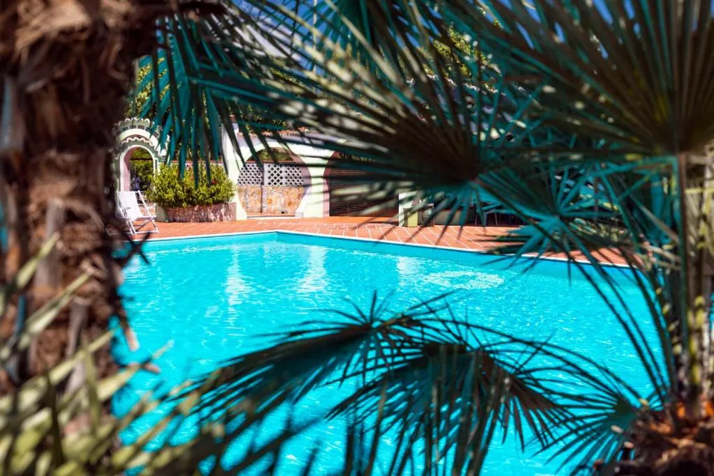 Piscina turchese vista attraverso le foglie di una palma