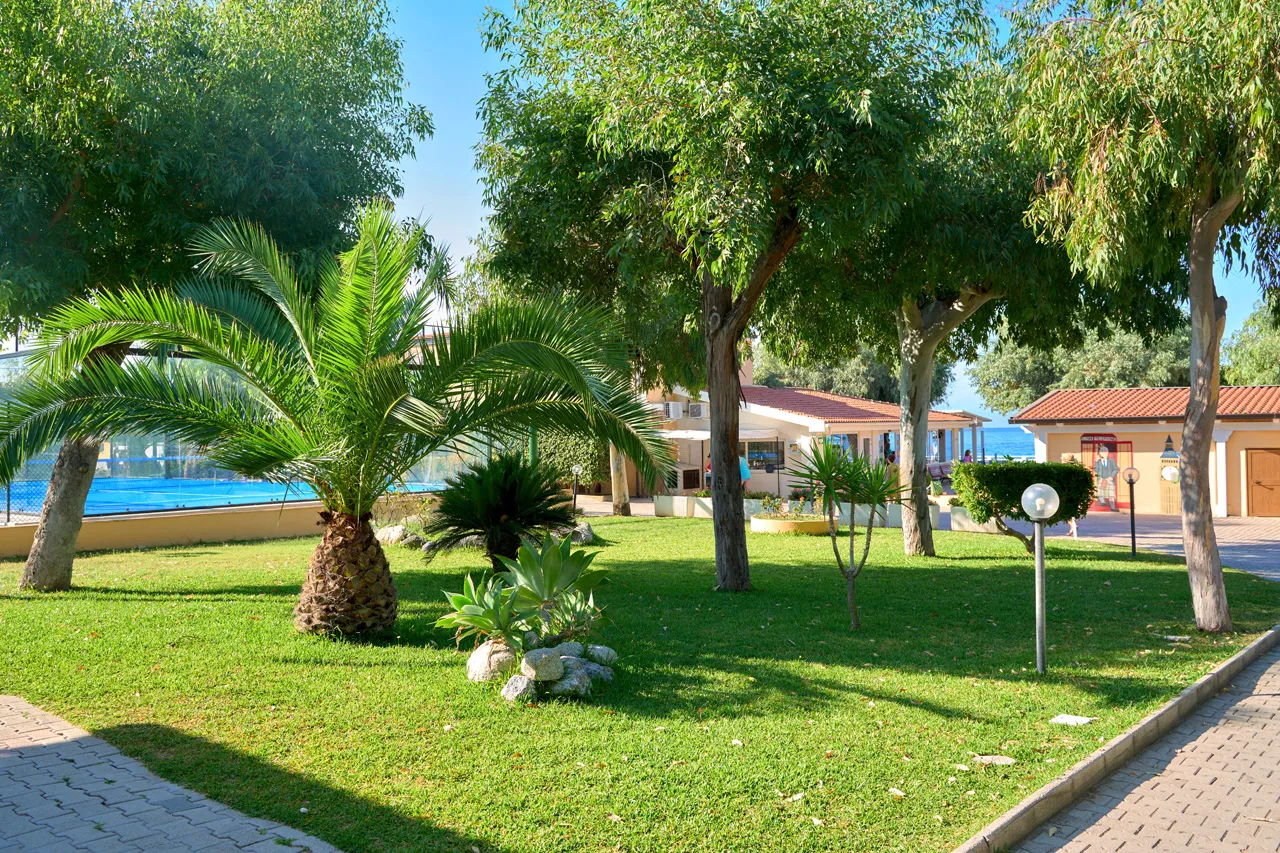Giardino curato con palme, prato verde e vialetto pedonale