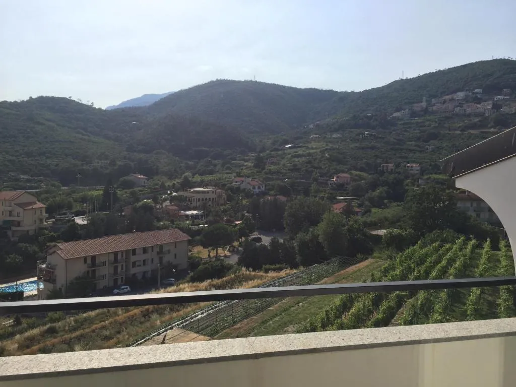 Vista dalla terrazza sulle colline verdi, vigneti e abitazioni circostanti