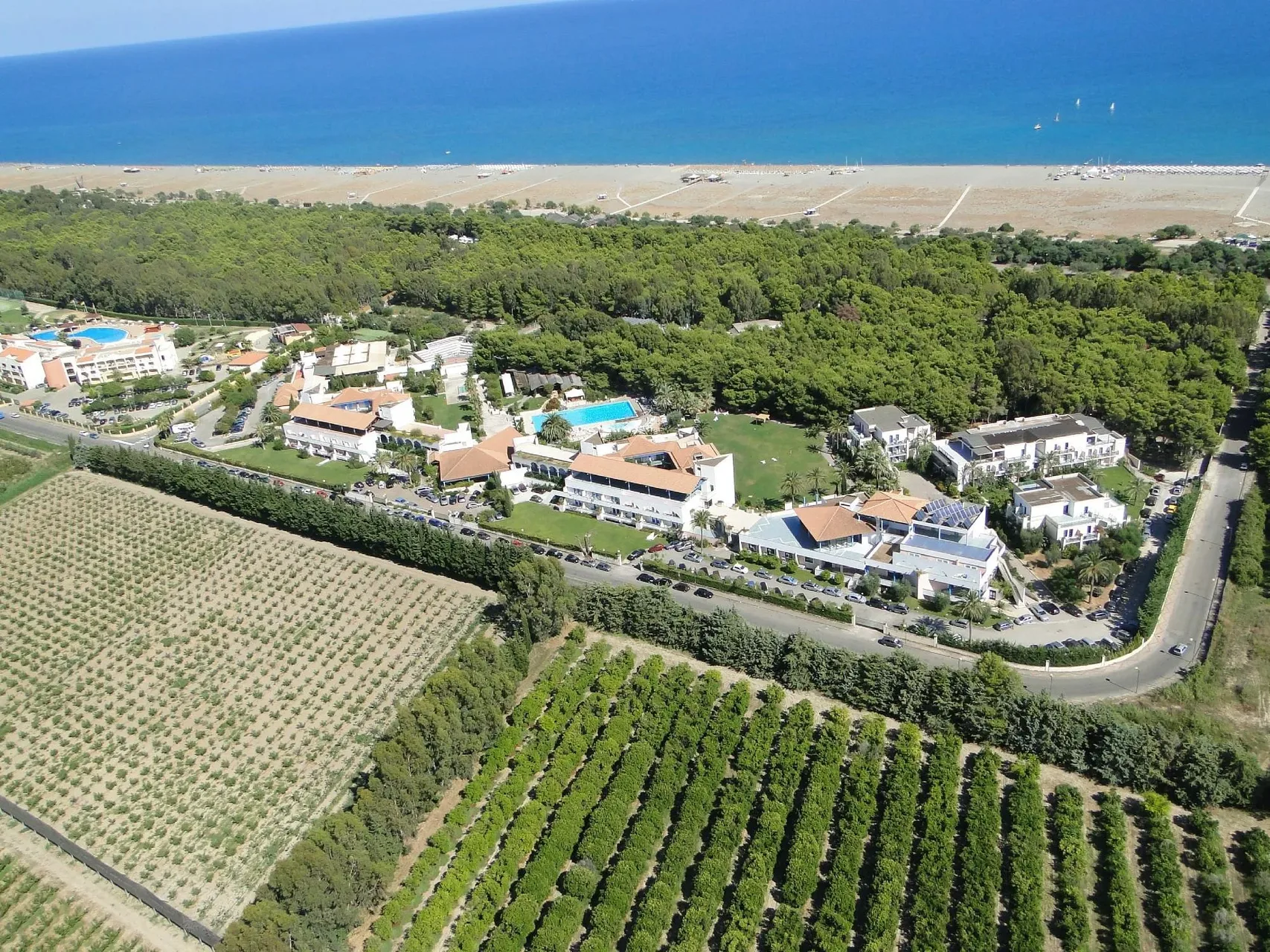 Panoramica aerea del complesso alberghiero tra pineta, campi coltivati e mare